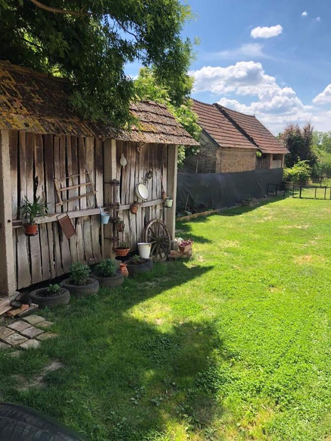 Edit Vendeghaz Balatonszentgyoergy Balatonszentgyorgy Bagian luar foto